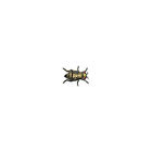 Ffhsap Timberline Fisheries Flightless Fruit 785325110039