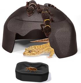 Fischuel 705353421242 Reptile Hides Humidification Cave Help Your Pets Shedding A Damp Hideout
