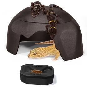 Fischuel 735843726229 Reptile Hides Humidification Cave Help Your Pets Shedding A Damp Hideout Wit