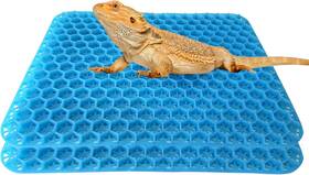 Flidrunest 744759575708 2pcs Bearded Dragon Soft Bed Mat Reptile Tank Carpet Liner Bedding
