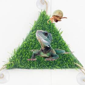Fr2312290001 Flidrunest Bearded Dragon Hammock Lizard Reptile Climbing Lounger Bed Green