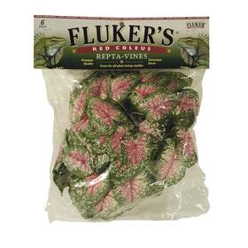 Fluker 091197510175 Repta Vine Red Coleus