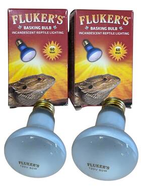 Flukers 091197226014 Basking Bulb - Incandescent Reptile Light 60 Watts Each 2-pack