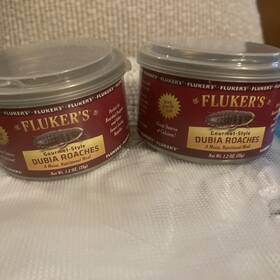 Flukers 091197780059 Gourmet Style Dubia Roaches 1.2 Oz X 2 Cans