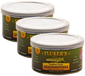 919082 Flukers Gourmet Canned Food For Reptiles Fish 1.2 Ounce Pack Of 3 Brown