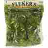 Flukers Repta Vines-pothos Sale 0091197510151