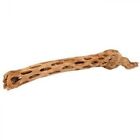 Fm3431 Florida Marine Research Choya Wood Large Inch Ki 044757333431 Fm3431 Florida Marine Research Choya Wood Large Inch Ki 044757333431
