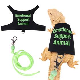 20241219h Fnaobai Bearded Dragon Harness And Leash Set Adjustable Reptile Lizard Rope Ves