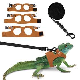 20250306zh Fnaobai Bearded Dragon Harness Leash Set 3 Size Adjustable Lizards Training Walking L