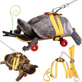 Zq-202410p1-3-hxl Fowsrhrg Adjustable Tortoise Leash And Funny Skateboard Set With Curly Grass Dec