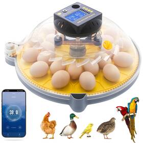 Yuanfdq24-1 Foxfocus Egg Incubators For Hatching Eggs App Controlled Smart Incubator Holds 2