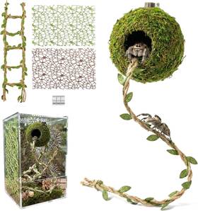 Funtinshdy 313091385377 Magnetic Jumping Spider Hideout Habitat D Cor Kit - Handmade Moss With C
