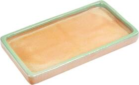 Fuongee 726972702512 Reptile Feeding Dish Bowl Food And Water Tortoise Tank Tan