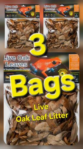 Galapagos 759834051541 Natural Live Oak Leaf Litter 4 Quart Each 12 Total By