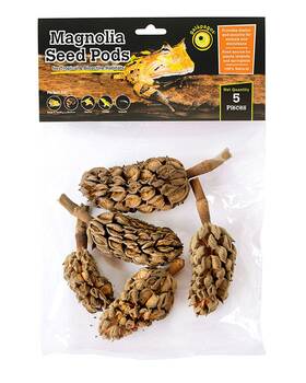 Galapagos 759834051596 Magnolia Pods Natural Bioactive Terrariums Provides Shelter And Food For Micr
