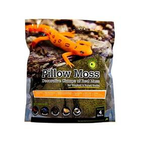 Galapagos 759834052340 Gal Pagos 05234 Pillow Moss Clumps Of Real Natural 4qt Green