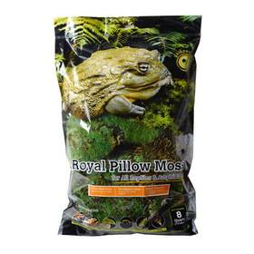 Galapagos 759834052517 Royal Pillow Moss For Tropical And Forest Tanks
