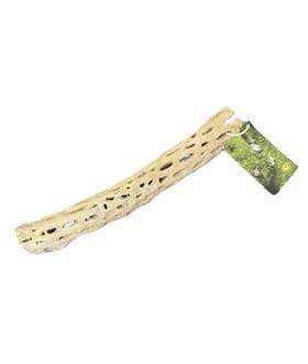 Galapagos 759834052715 Cholla Branch Reptile Basking Ledge Aquarium Plant Anchor 12 Inch