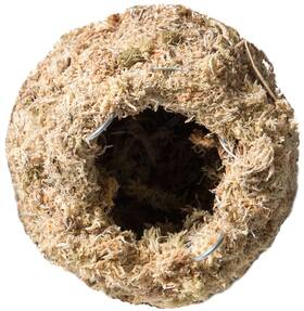 Galapagos 759834053491 Gal Pagos 05349 Mossy Cave Hide 6 Inch Blond Sphagnum