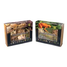 Galapagos 759834053514 Arid Environment Terrarium Starter Kit 1 Each