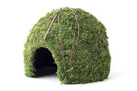Galapagos 759834053668 05366 Mossy Dome Hide 6 In Gal Pagos Green Galapagos 759834053668 05366 Mossy Dome Hide 6 In Gal Pagos Green
