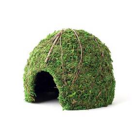 Galapagos 759834053682 Mossy Dome Terrarium Hideaway Fresh Green 1