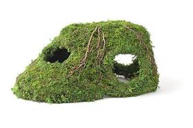 Galapagos 759834053705 Gal Pagos 05370 Mossy Sapa Corner Hide 10 Inch X 5.5
