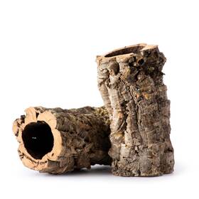 Galapagos 759834055068 Gal Pagos 05506 Natural Cork Bark For Reptiles Ideal Bearded