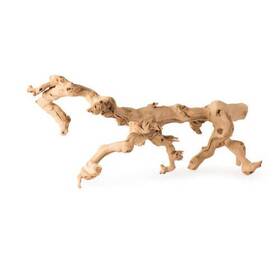 Galapagos 759834055259 Walking Wood Grapevine Branch Brown 1 Each/1