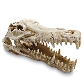 Aqm003-02 Ganrami Dinosaur Skull Aquarium Decor Ideal For Fish Tank Decorations Terrarium