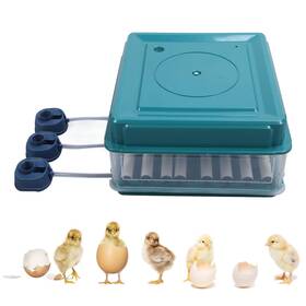 Gavigainqkgo0vzyc7-11 Gavigain Incubator For Hatching Eggs-48 Egg Capacity Intelligent Led Green