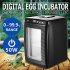 Gdg78004 Vevor Beers Reptile Egg