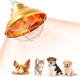 Gifank 744759767011 Chicken Heat Lamp 350w Coop Heater With Carbon Fiber Bulb Winter Hanging