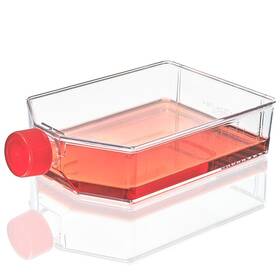 Tc-flsk-225-p Globe Scientific Diamond Suregro Cell Culture Flask Tissue Treated 225cm2 Plug Cap
