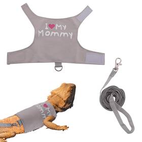 1033805 Gosknor Bearded Dragon Leash And Harness Set Cute Adjustable Lizard Reptile C