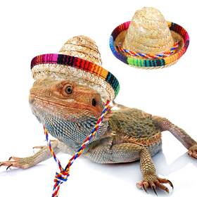 5287mmtx7120 Gtziqa Bearded Dragon Sombrero Hats Clothes Accessories Small Brown