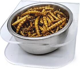 Pa-12-1 Gxsdj Gecko Feeding Ledge Acrylic Reptile With Stainless Steel Dish Food
