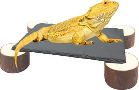 Pa-6-4 Gxsdj Bearded Dragon Basking Platform With Wooden Pile Reptiles Hideout L Brown