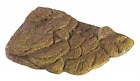 Hag-970 Exo Terra Turtle Bank Magnetic
