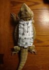 Handmade Juvenile Young Bearded Dragon Reptile Harness White Gray Arrow