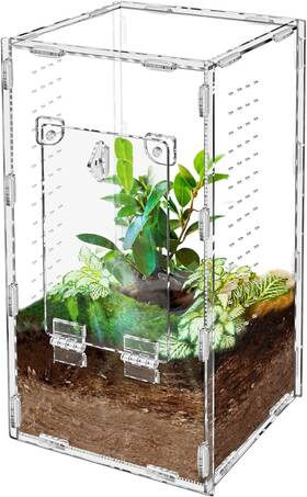 Abj414-2 Harhana Jumping Spider Enclosure Tarantula-enclosure Large Transparent