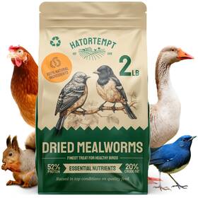 Hatortempt 608651741619 Dried Mealworms For Wild Birds 2 Lbs Non Gmo High Protein Chi