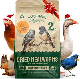 Hatortempt Model Number2lbs Dried Mealworms 2lbs - Non-gmo Organic Chicken Feed 2 Pound Pack Of 1