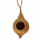 Hch-1 Pangea Hanging Coconut Reptile