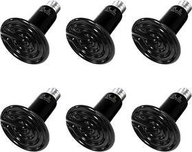 Ptcrhl100x6v2 Healsmart Reptile Heat Lamp Bulb Ceramic Emitter 100w No Light Emitting Brooder Co