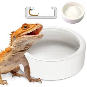 Wd1279 Helime Ceramic Reptile Bowl - Mealworms And Cricket Dish For Gecko Bearded Dragon C