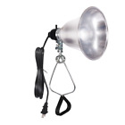 Hiwkltclamplights Simple Deluxe Clamp Lamp Light Ul Listed 799441258414