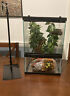 Hk19sg Reptizoo Zilla Mini Reptile Glass Terrarium Tank Front Opening Door Hk19sg Reptizoo Zilla Mini Reptile Glass Terrarium Tank Front Opening Door