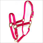 Hm-1dasavrs Hamilton Products Nylon Halter With Adjustable Chin Raspberry Average Size