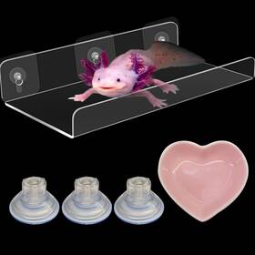 Homedy Crafts 288039600307 Axolotl Hammock Ledge For Aquarium Tank Accessories And Feeding Dish